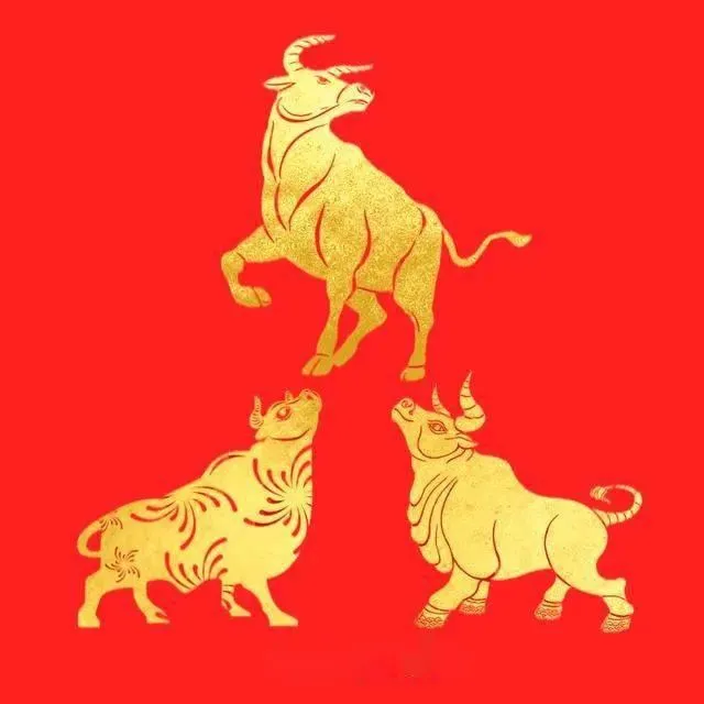 Good-luck Of Beginning